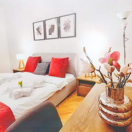 Spacious 5* Luxury In Historic Center Free Parking Cluj-Napoca Exterior photo